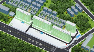 14 主体阶段 (3).jpg